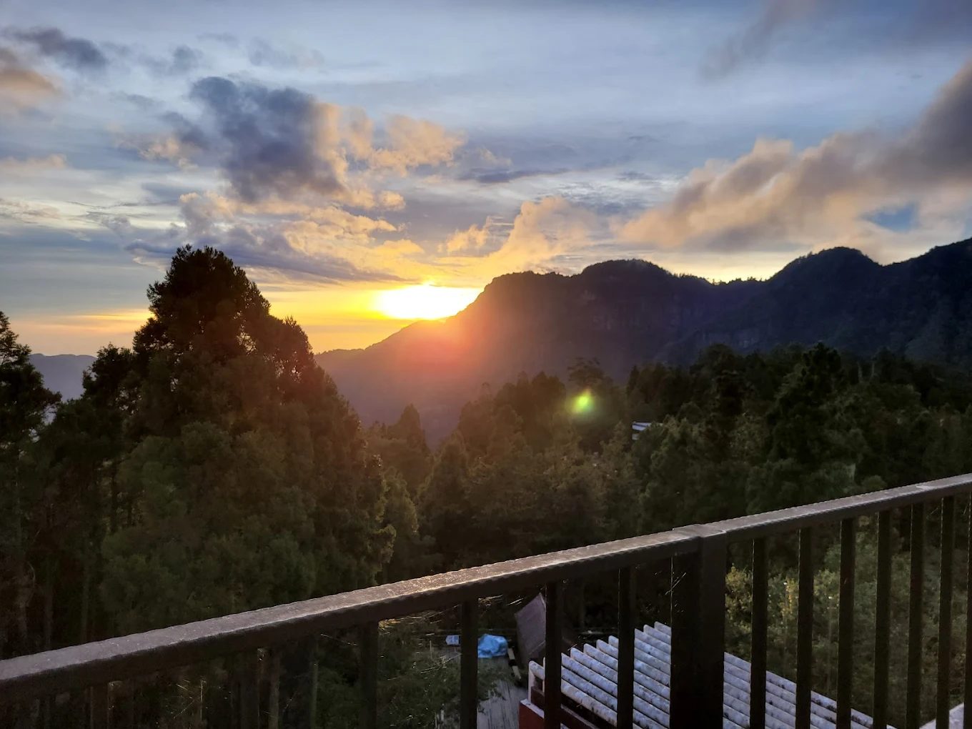 阿里山一日遊怎麼玩？深度行程這樣排最順