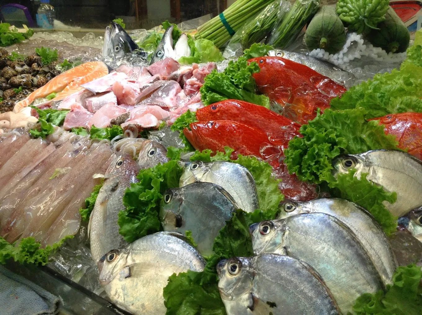 竹圍漁港美食：探索48號搶鮮食堂及附近美味生魚片