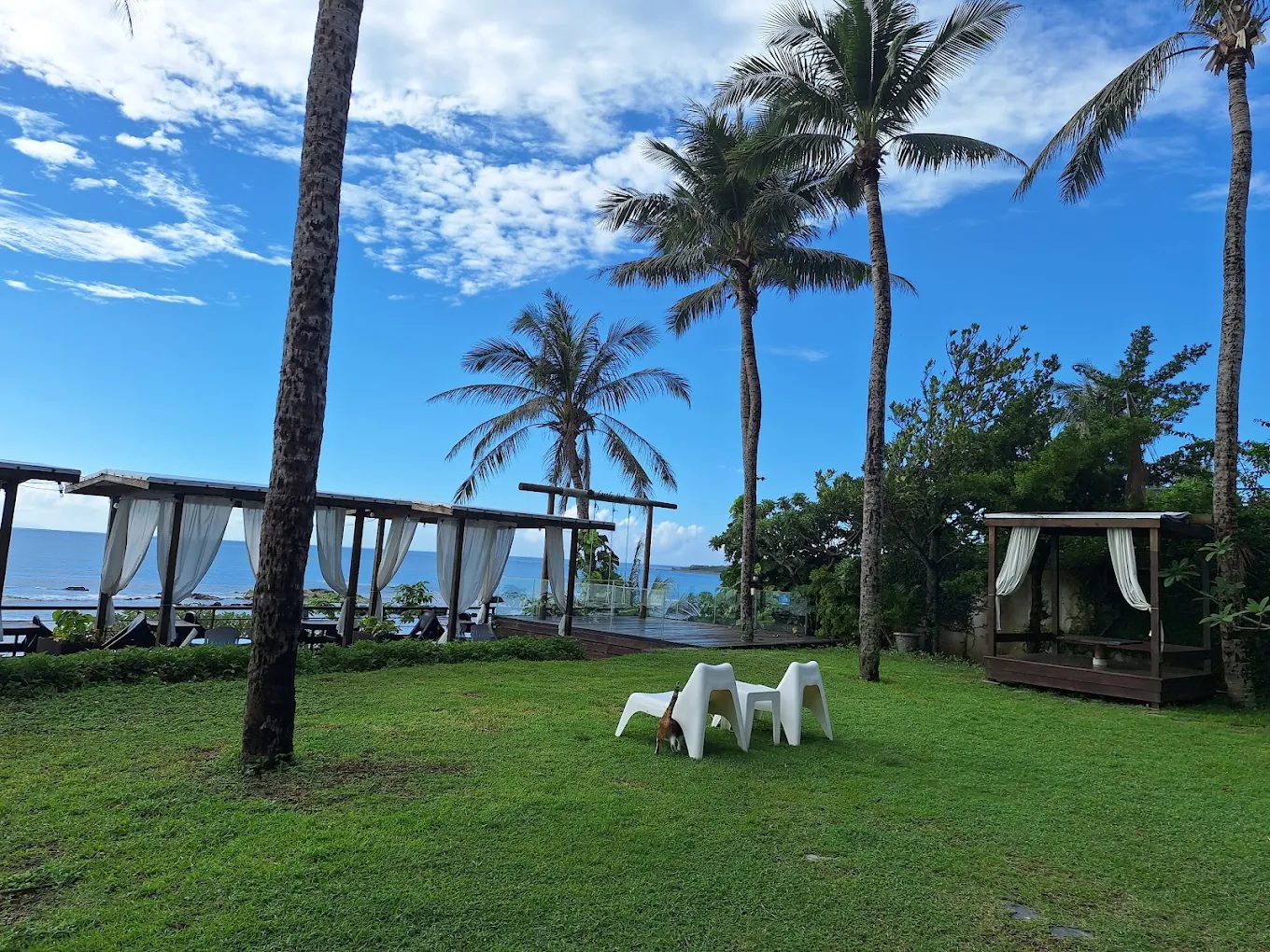 探索小魚兒的家：最受歡迎的台東美食體驗