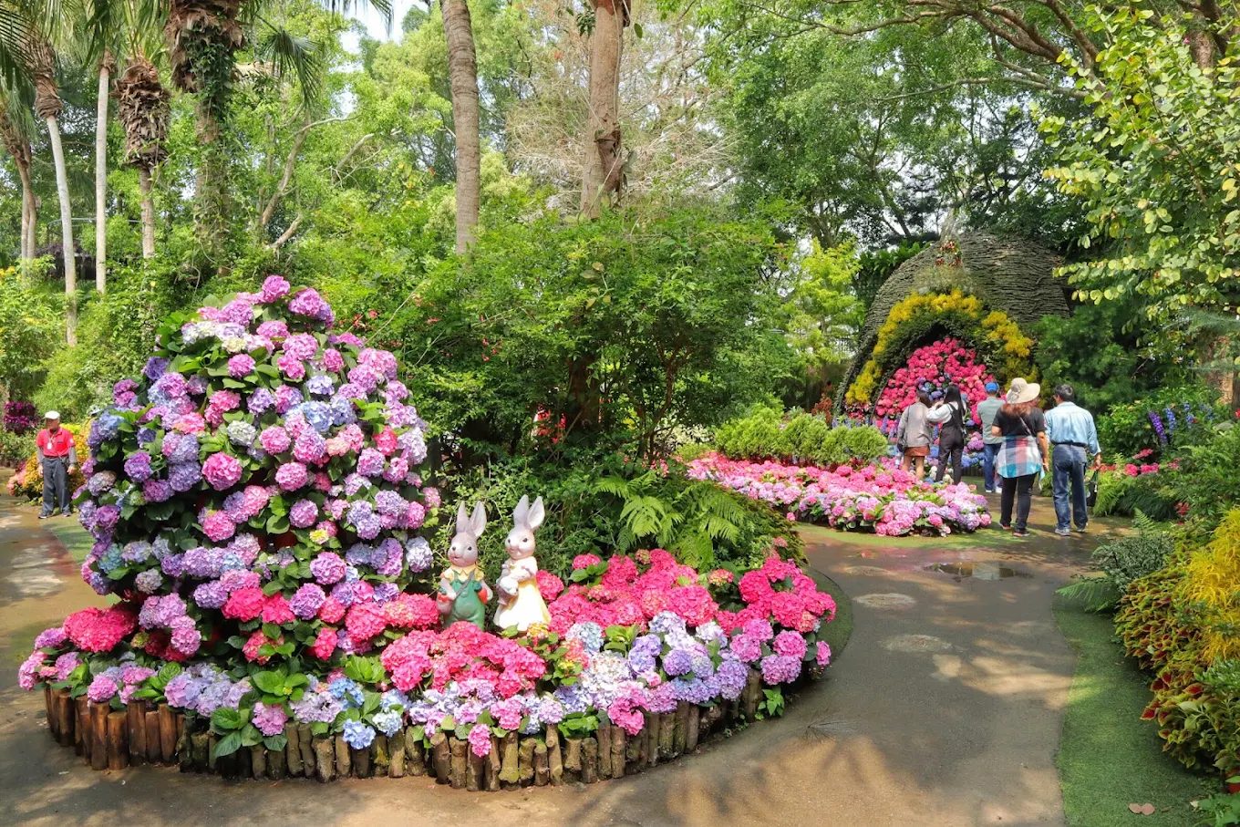 花露農場的繡球花季：攻略、必吃美食與家庭游玩景點