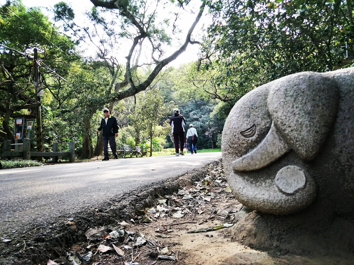 十八尖山的綠意步道與拍照地景