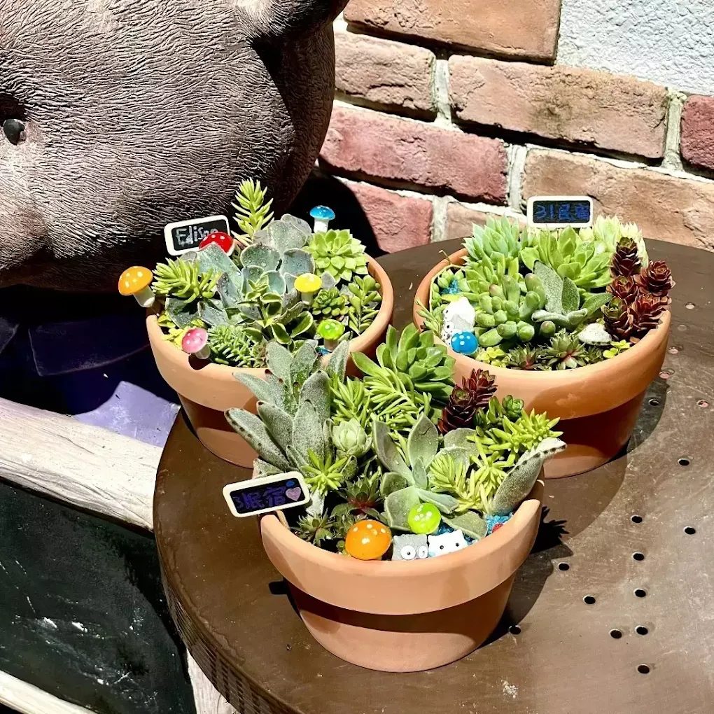 清境31民宿｜觀星、賞日出、看雲海的最佳住宿！夢幻多肉花園療癒你的身心