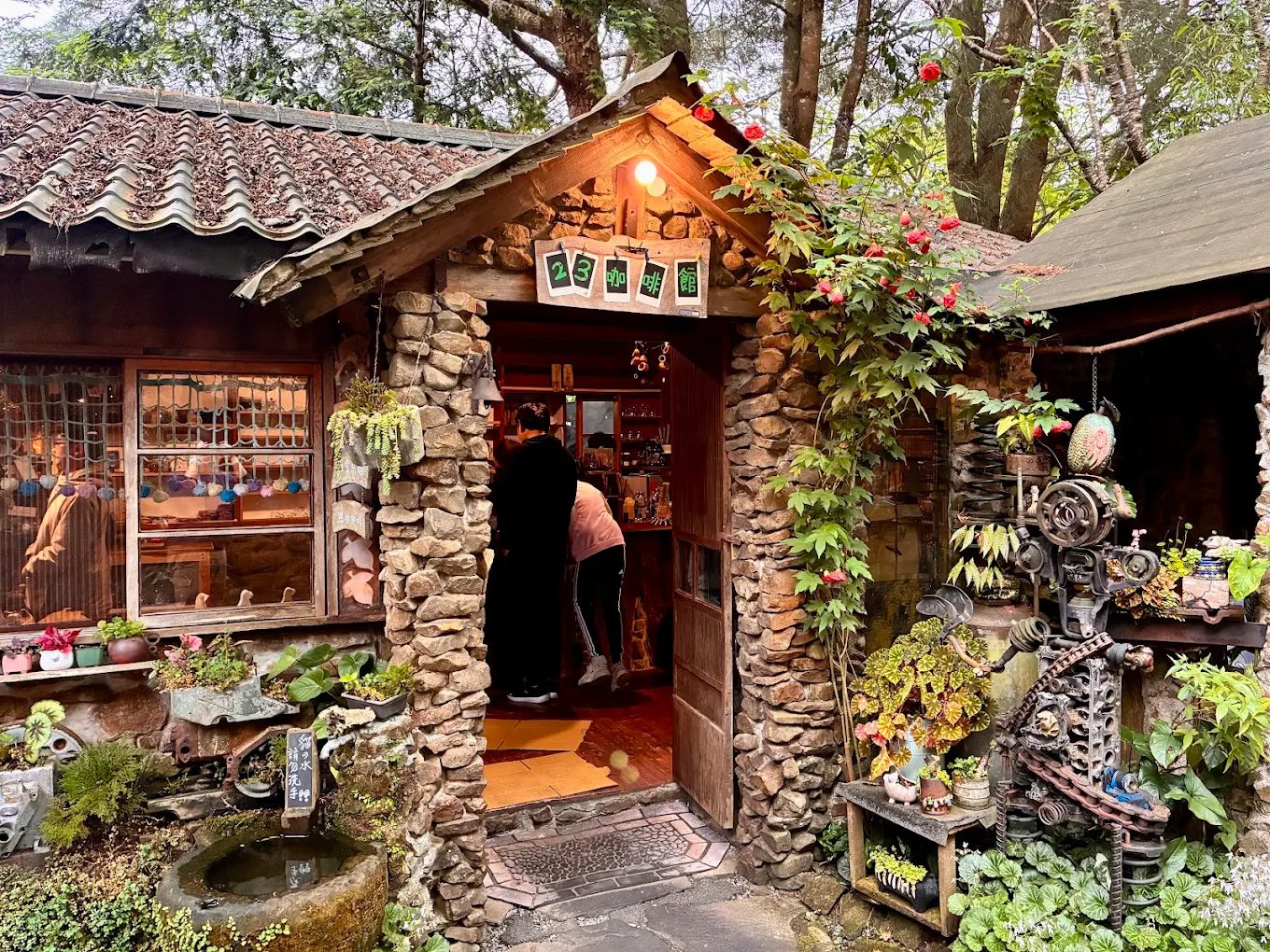 🌄 阿里山住宿推薦｜高評價飯店與民宿精選：茶園景觀、森林秘境一次滿足！