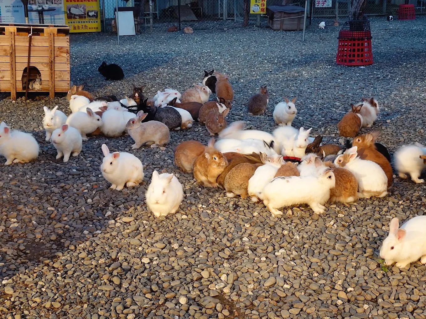 屏東親子景點|最美公園+歷史古蹟,輕鬆一日推薦