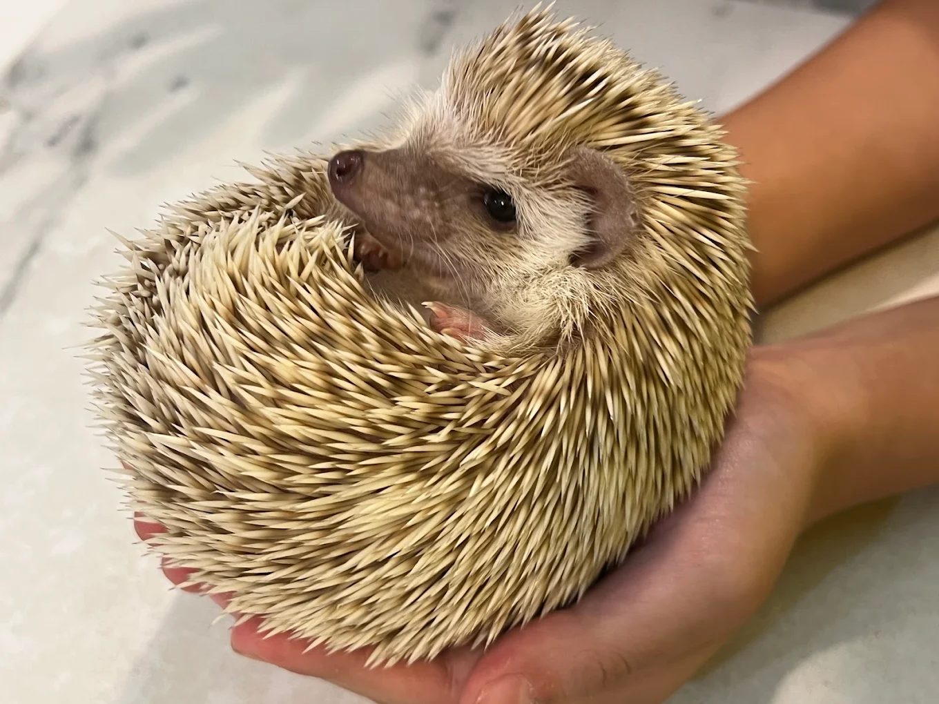 屏東親子景點|最美公園+歷史古蹟,輕鬆一日推薦