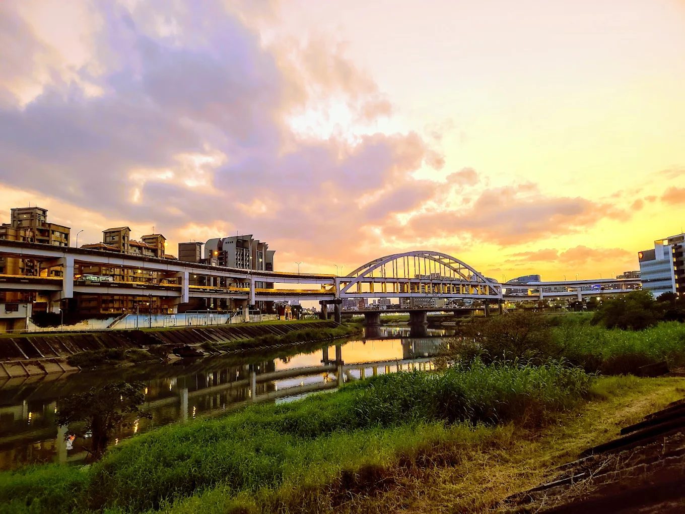內湖復育園區一日遊攻略｜台北免費親子景點、生態濕地、狗狗散步天堂