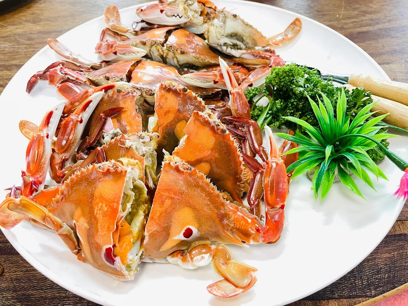 🎣 正濱漁港必吃海鮮名店推薦｜從生魚片飯到章魚燒，吃遍基隆最新鮮！