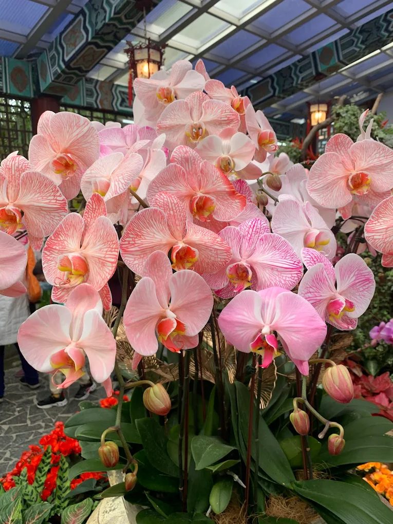 士林官邸怎麼玩?花園景點、歷史導覽一次看