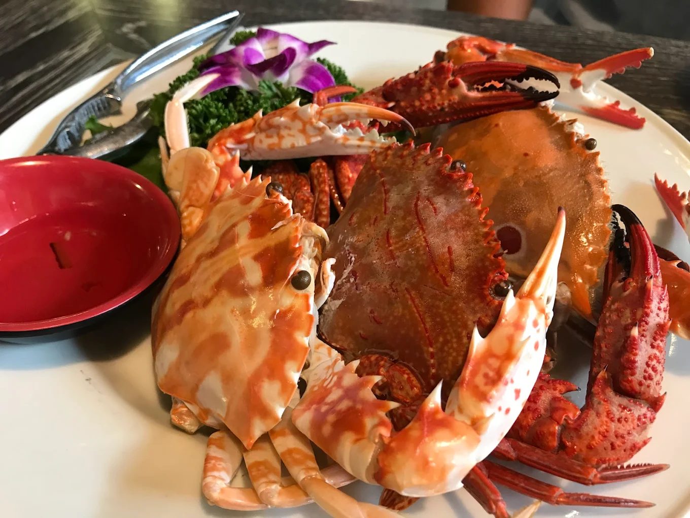 和平島地質公園一日遊攻略：奇岩海景、潛水體驗與在地美食推薦
