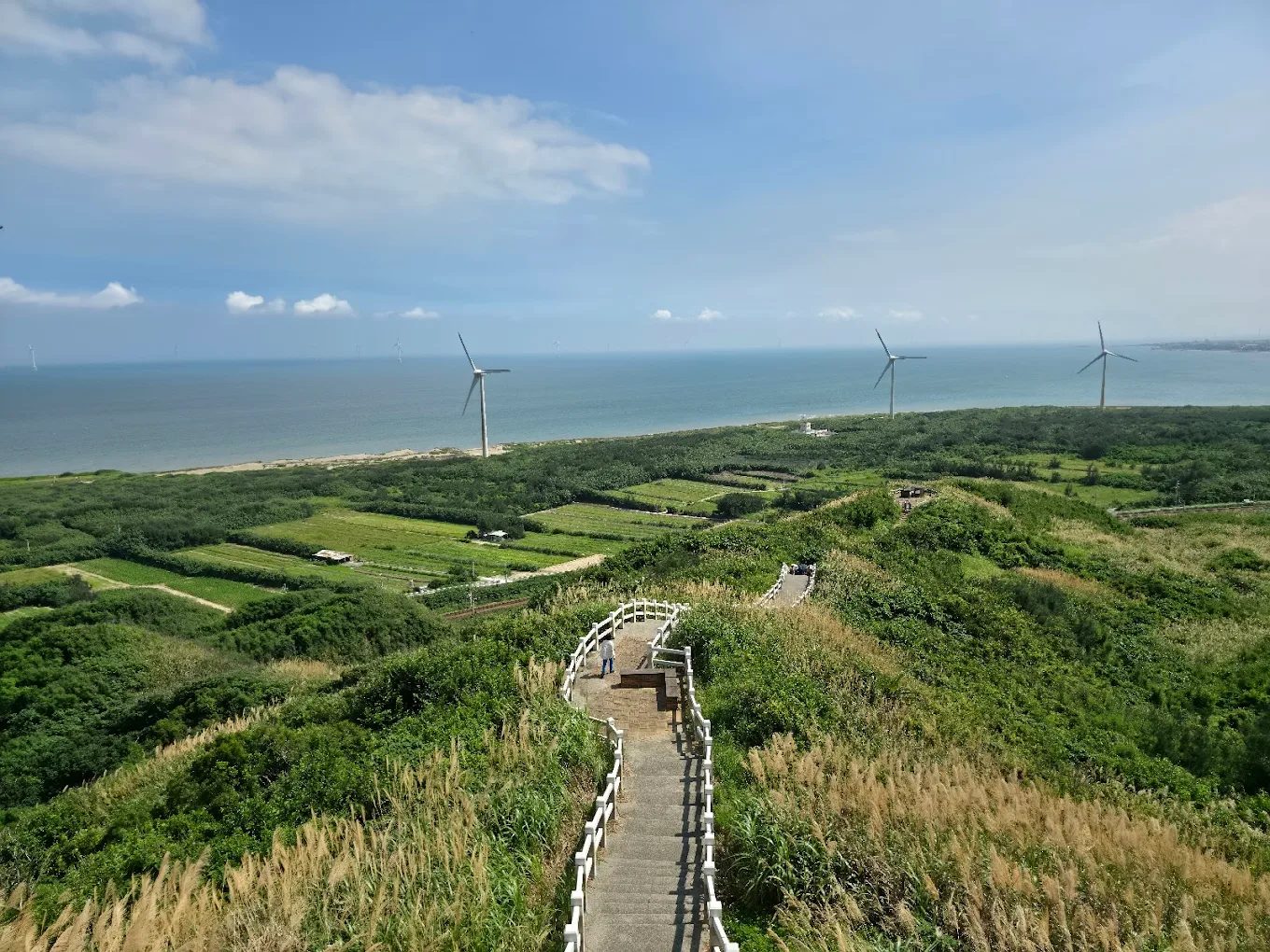 台灣觀光列車推薦:親子小火車、懷舊鐵道、鐵道博物館一次攻略!