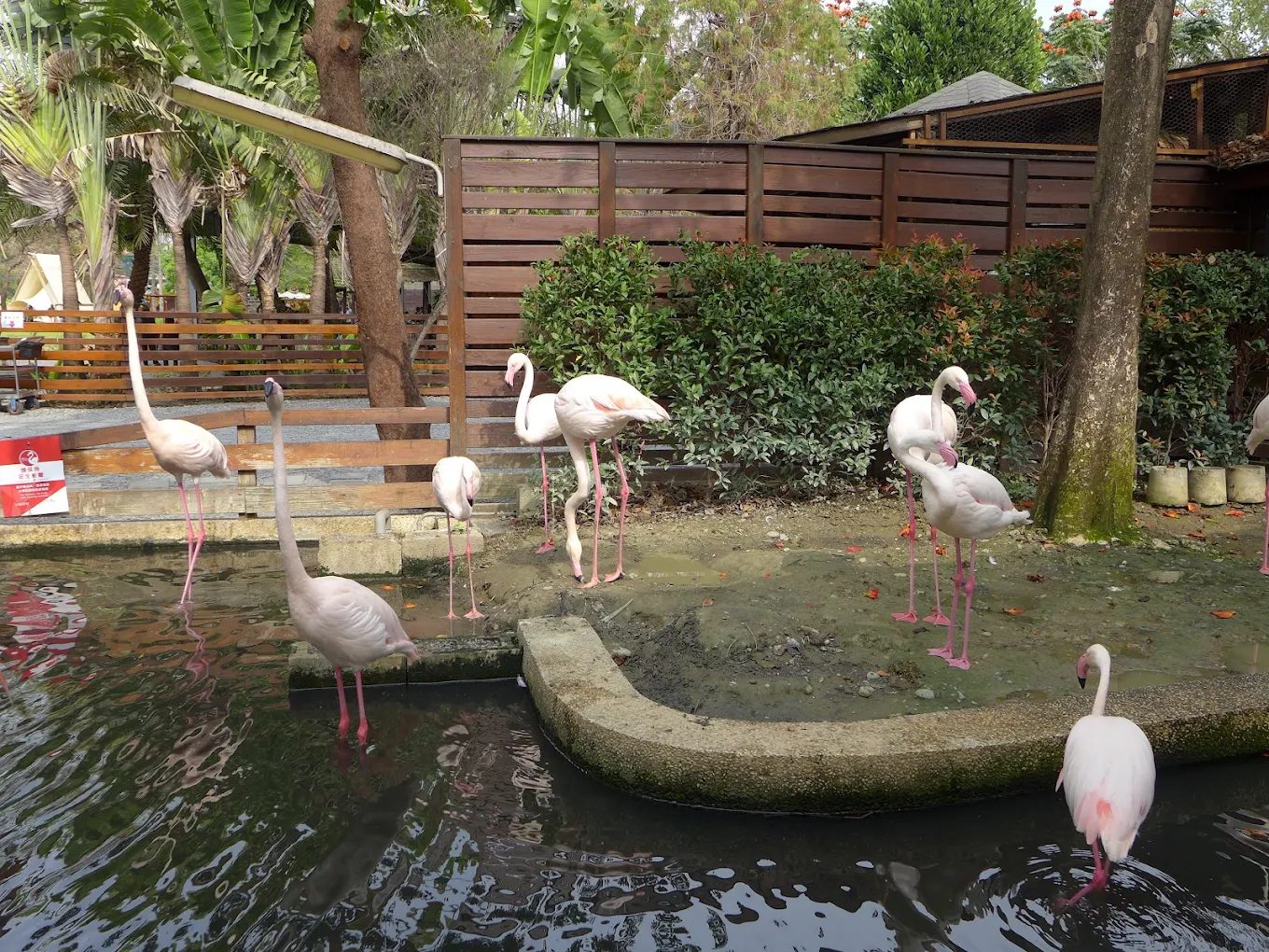 台灣觀光列車推薦:親子小火車、懷舊鐵道、鐵道博物館一次攻略!