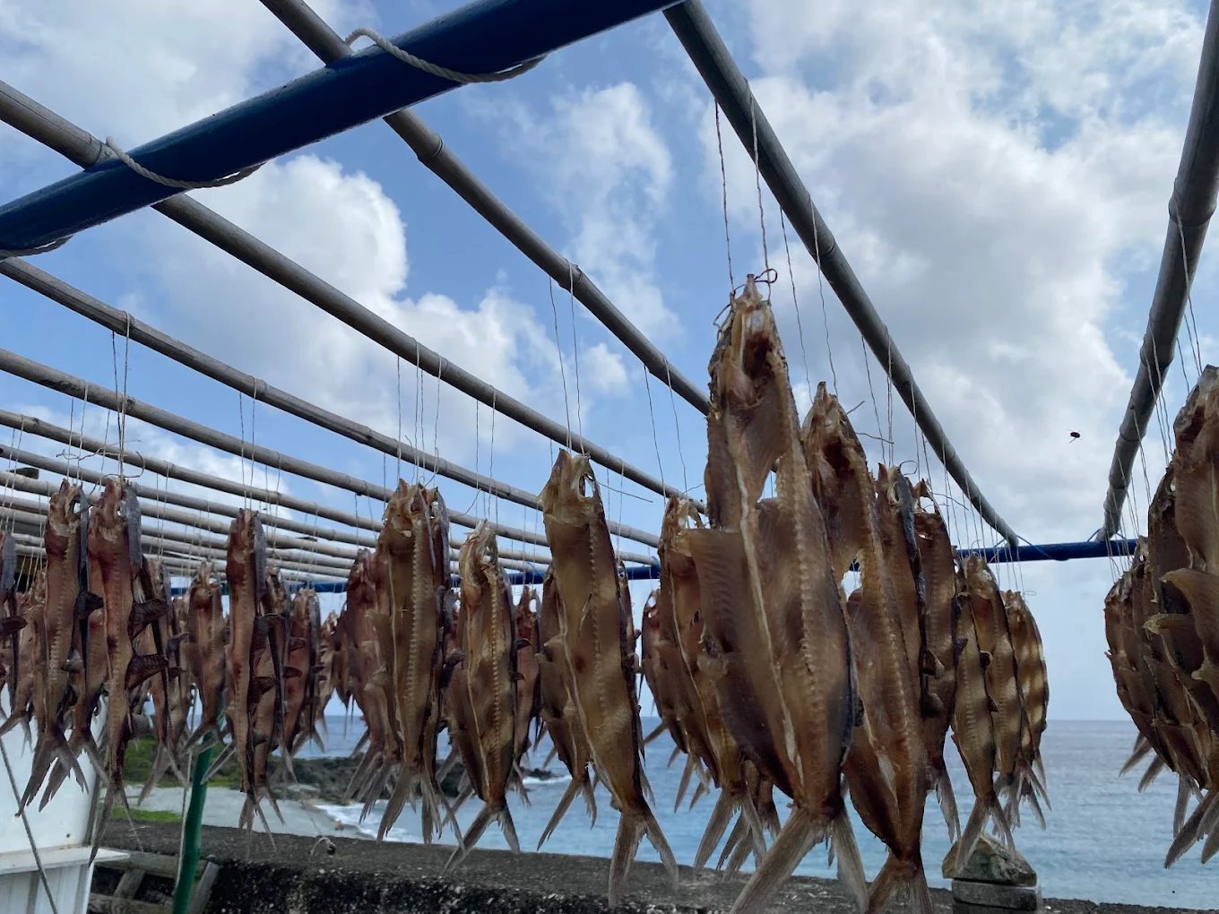 蘭嶼旅遊全攻略:景點、活動、美食與住宿一次看懂!