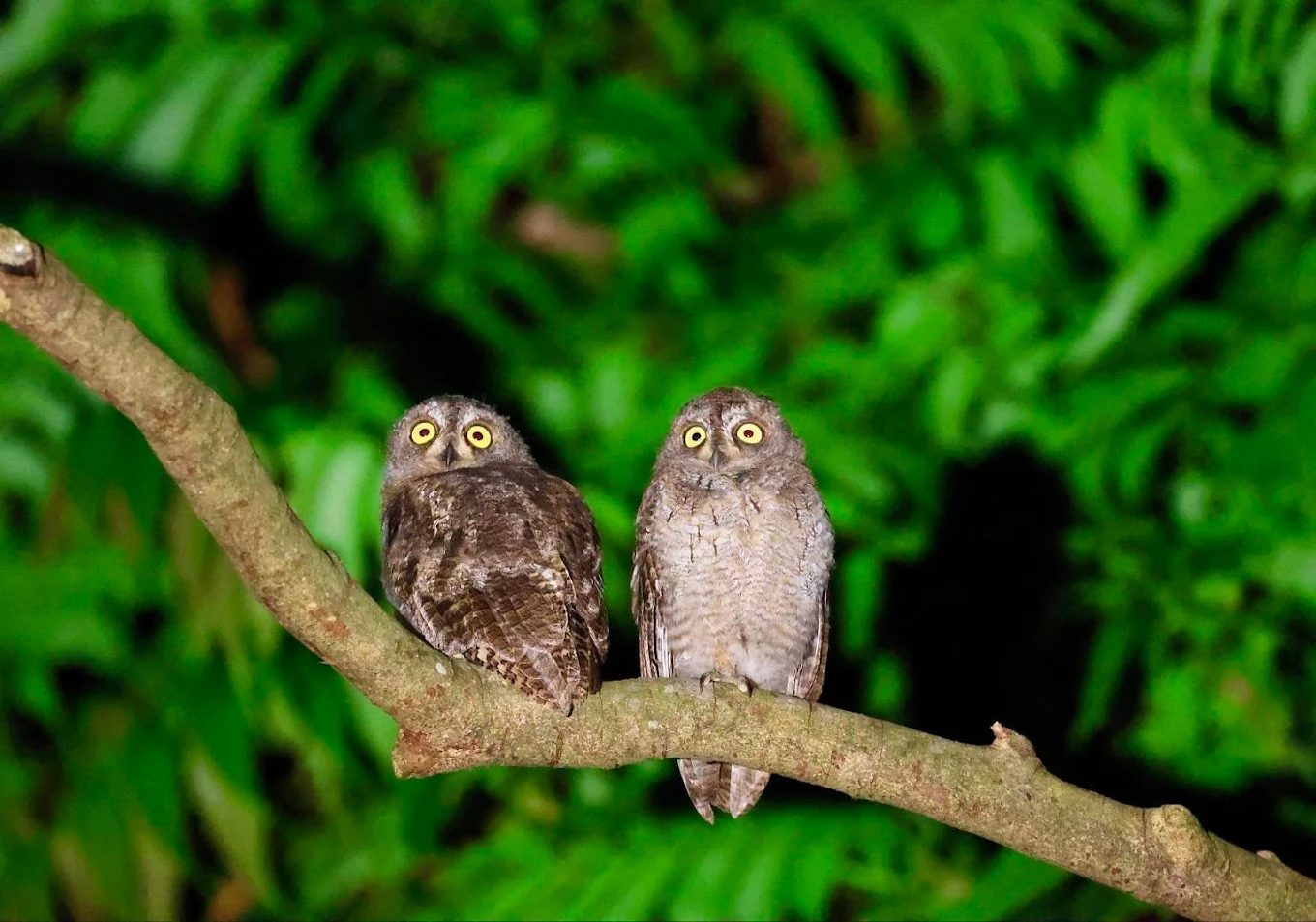 蘭嶼旅遊全攻略:景點、活動、美食與住宿一次看懂!