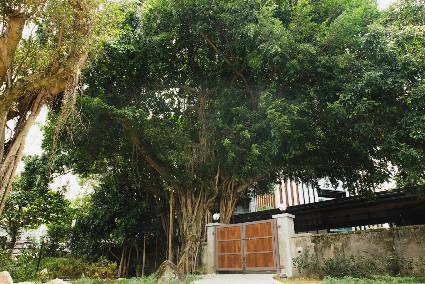 靜心苑｜松山療養所所長宿舍：療癒日式古蹟，沉浸美食與藝術的靜謐空間