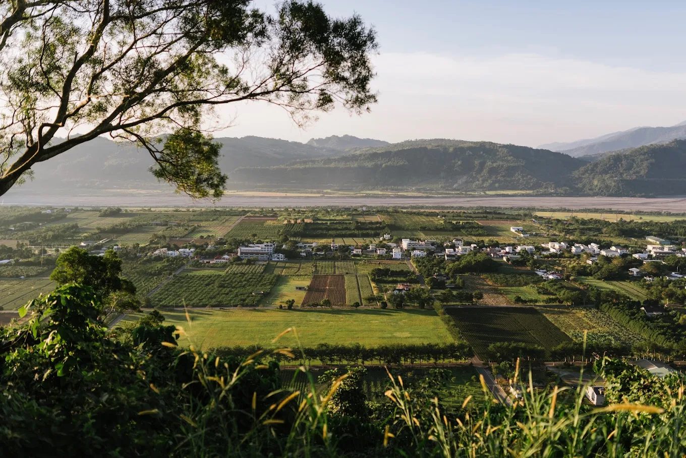 台東熱氣球體驗攻略｜享受空中美景的最佳選擇