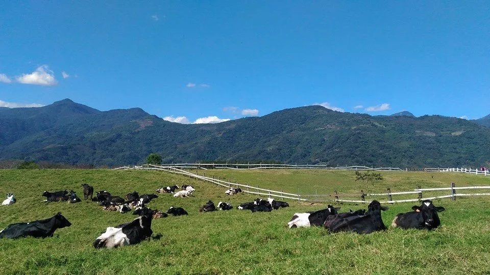 初鹿牧場一日遊攻略｜親子互動餵動物、美食、滑草全體驗