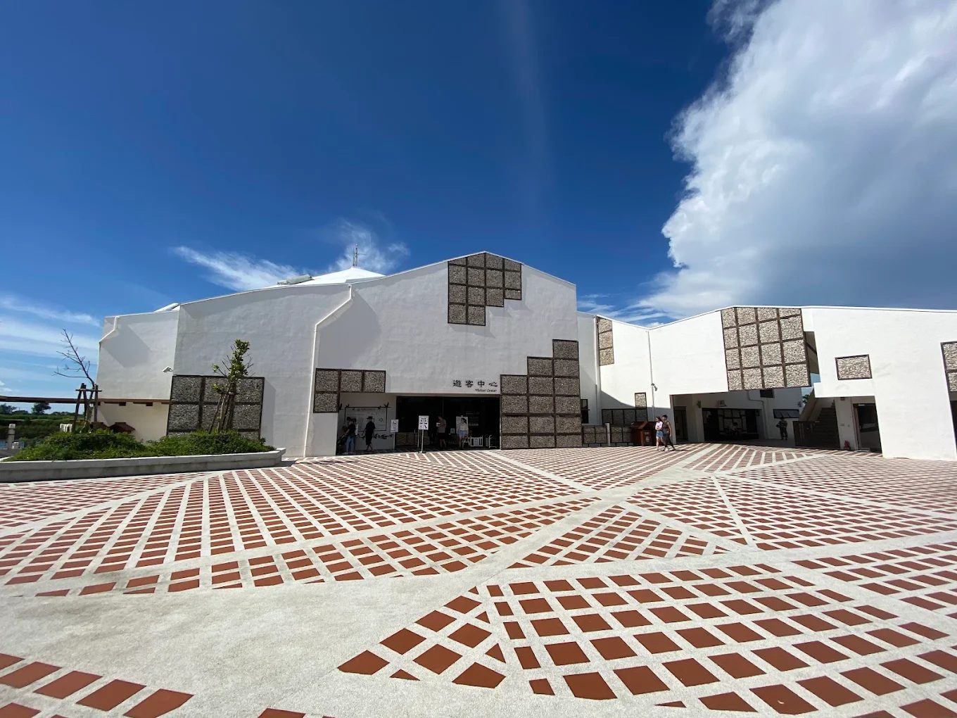 探索四草綠色隧道的獨特魅力｜完美的家庭旅遊選擇