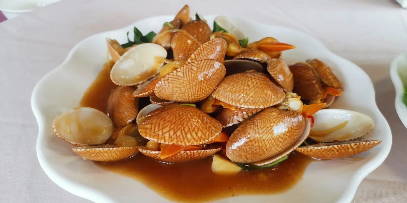 後龍好望角風景區旅遊完全攻略｜你不可錯過的5大亮點