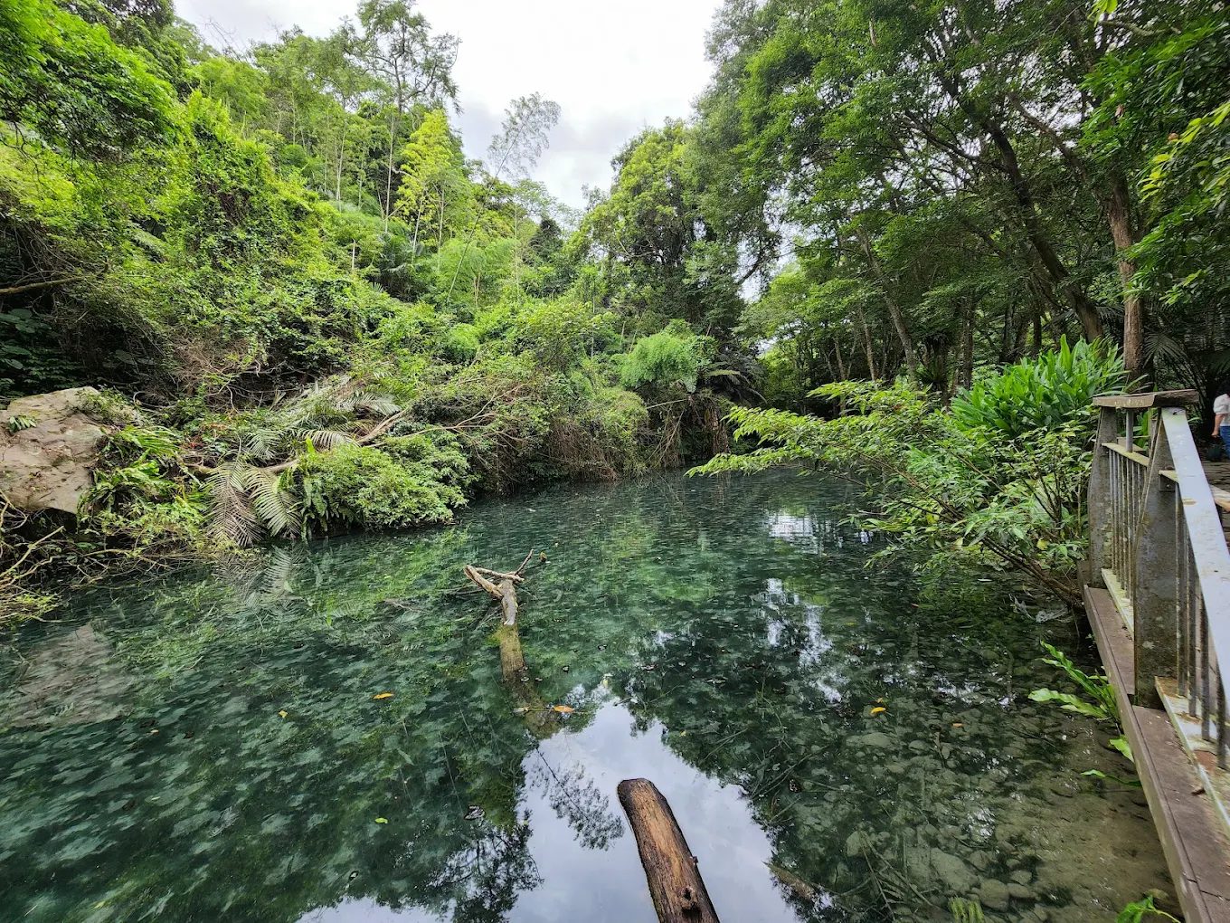 四十二份湧泉自然生態步道｜苗栗南庄親子景點推薦，漫遊清涼湧泉與鯉魚潭夢幻平臺