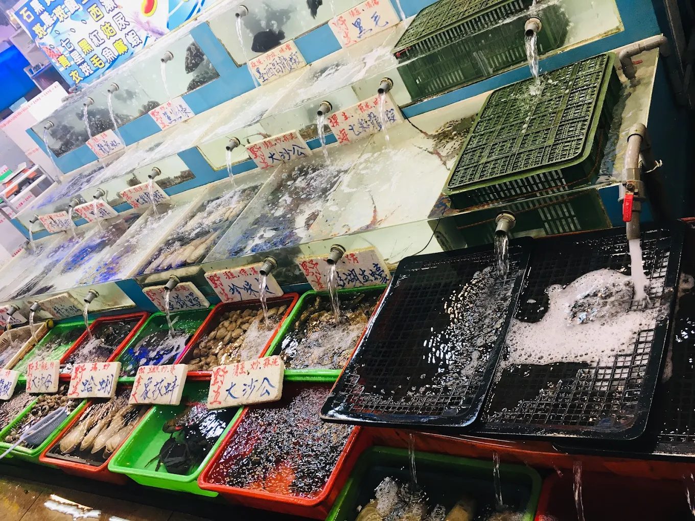 探訪蘭陽博物館：深入認識宜蘭的文化與生態