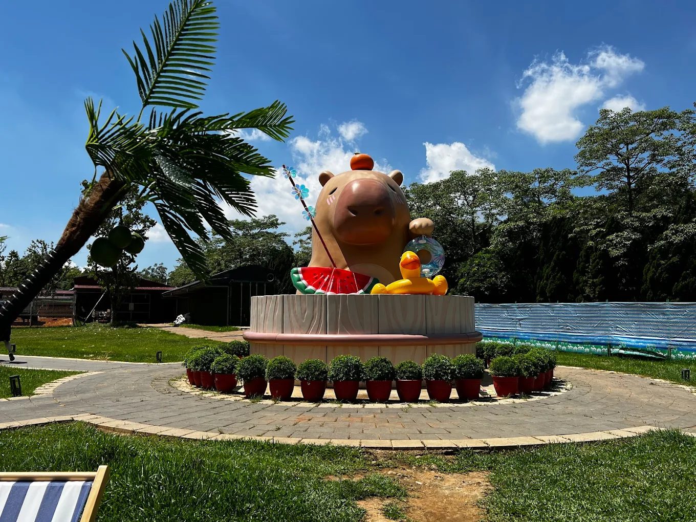 埔心牧場：家庭休閒的最佳去處，享受動物互動樂趣