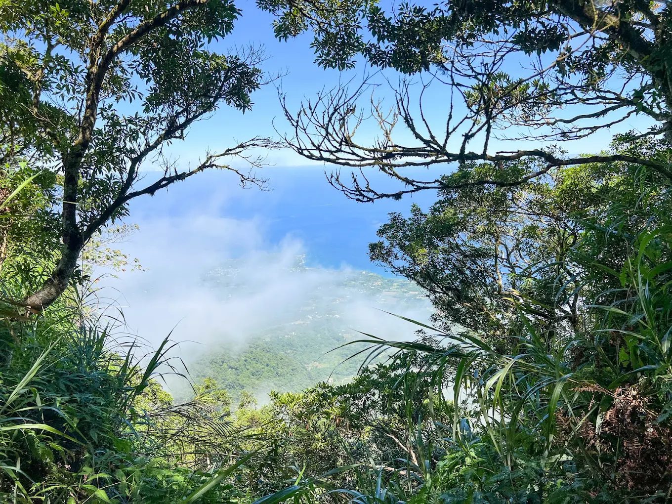 都蘭景點必訪攻略：從熊都蘭文創園區到神秘的水往上流