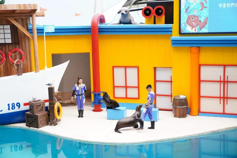 遠雄海洋公園最佳遊玩攻略｜享受親子同樂的水族之旅