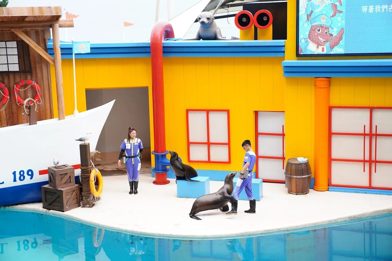 遠雄海洋公園最佳遊玩攻略｜享受親子同樂的水族之旅