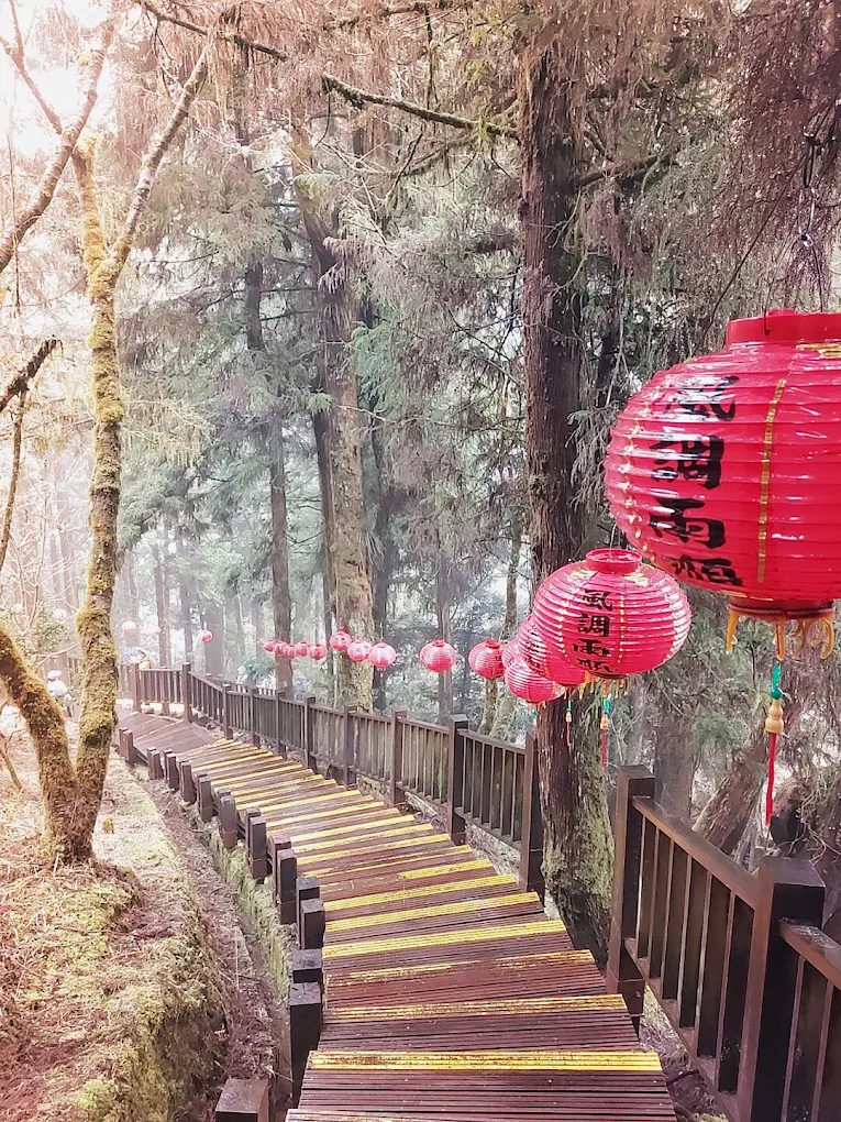 宜蘭步道探索：5條必走的健行路徑推薦