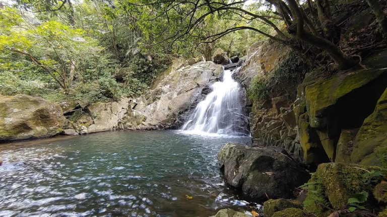 探索鹿堀坪山的隱藏寶藏｜從古道到美景的完美之旅