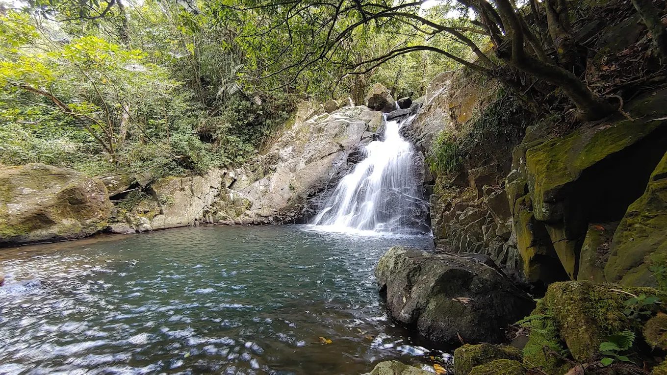 探索鹿堀坪山的隱藏寶藏｜從古道到美景的完美之旅