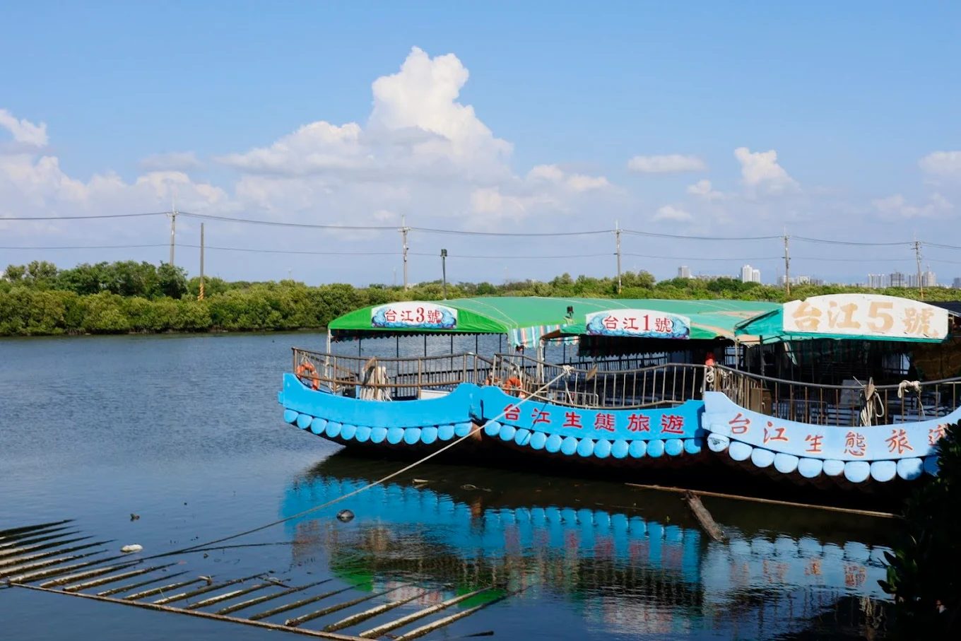 台江國家公園的絕佳旅遊攻略：探索自然的美好