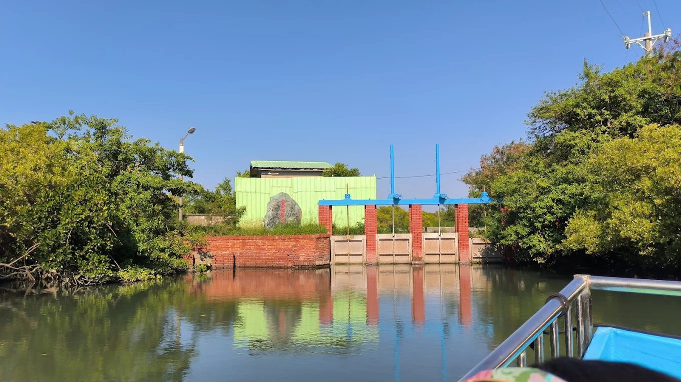 探索四草綠色隧道:你的完美生態旅遊之選