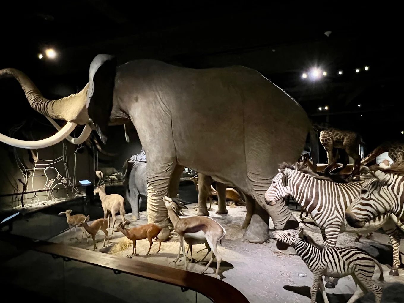 台南景點推薦：探索神農街、四草綠隧道、安平老街、奇美博物館和赤崁樓的魅力