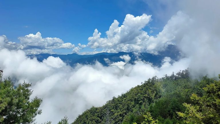 大雪山森林遊樂區的五大奇蹟｜探索台灣西部的自然之美