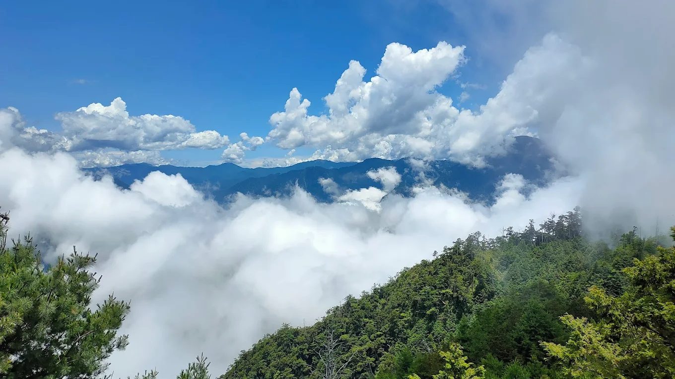 大雪山森林遊樂區的五大奇蹟｜探索台灣西部的自然之美