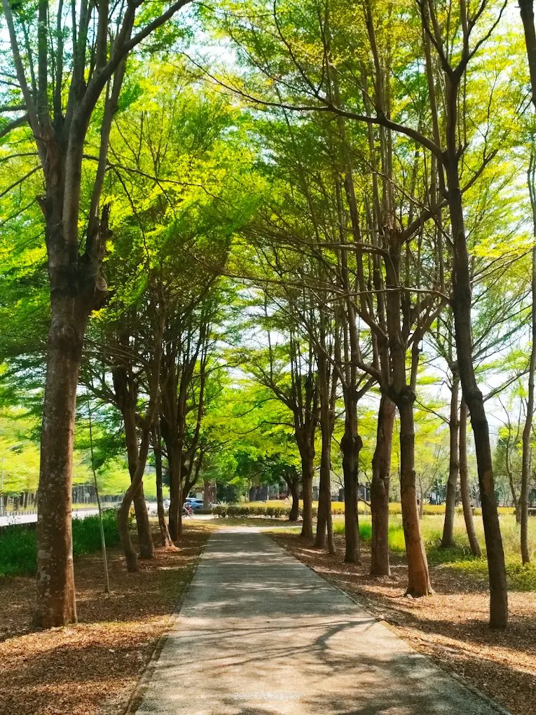 屏東景點推薦：探索五大必訪景點與活動