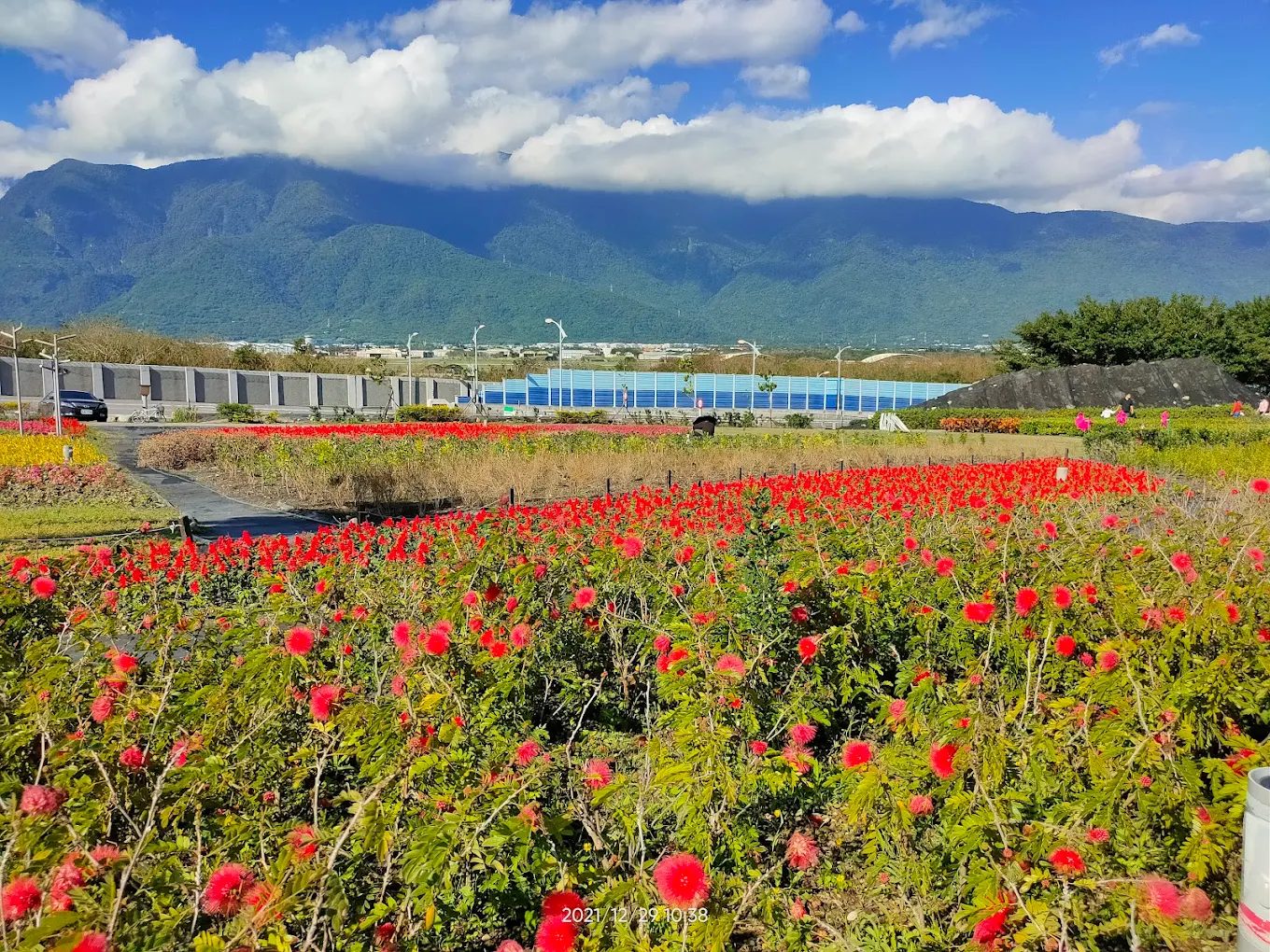 花蓮景點必遊｜享受獨特的旅遊體驗