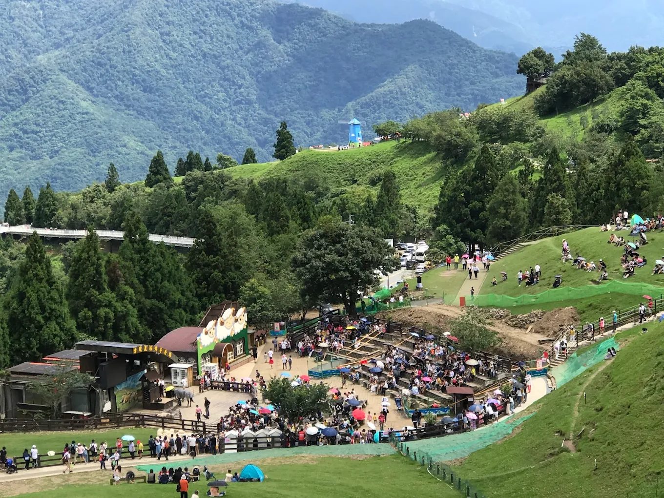 清境農場青青草原：探索台灣最夢幻的高山草原