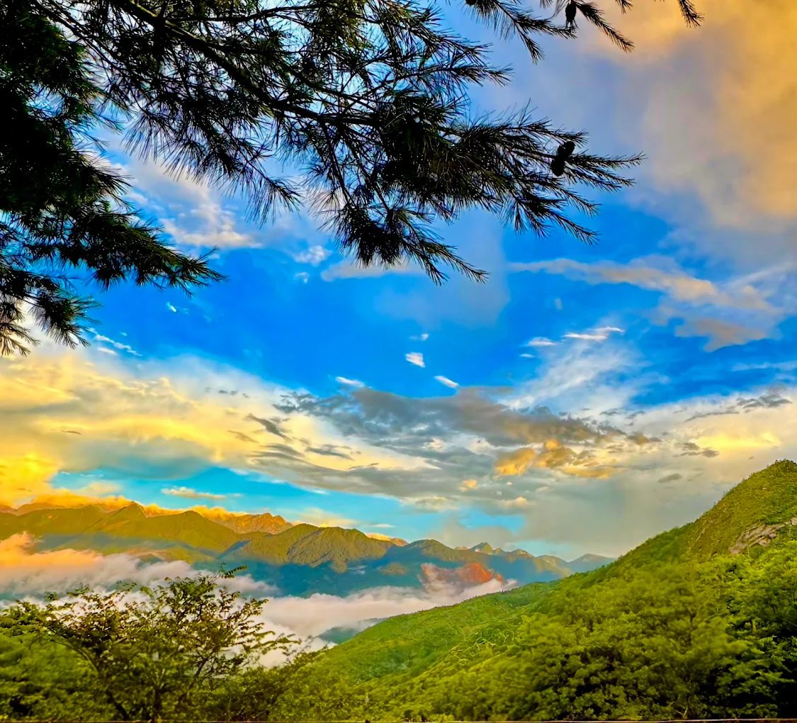 為什麼選擇觀霧山莊？探索這個隱藏的山林寶地