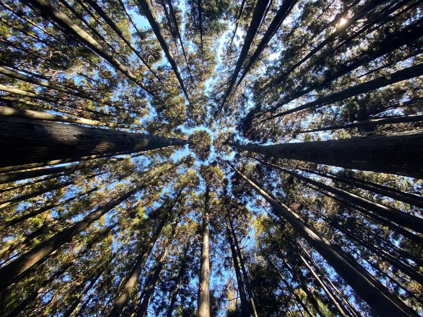 雪霸休閒農場：親子田園冒險之最佳選擇