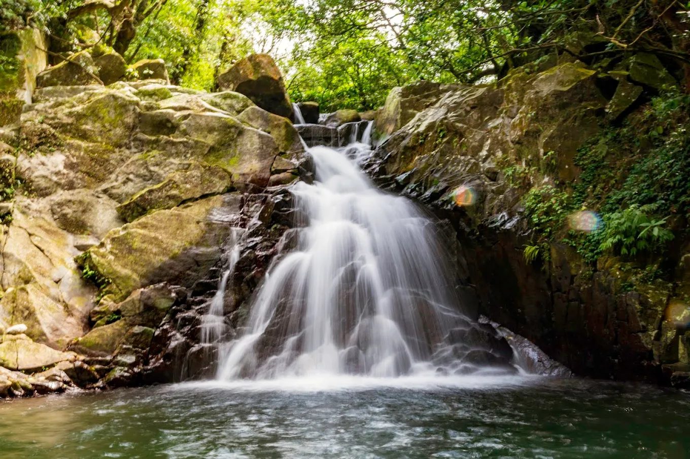 探索鹿堀坪古道的魅力｜享受天然美景的最佳選擇