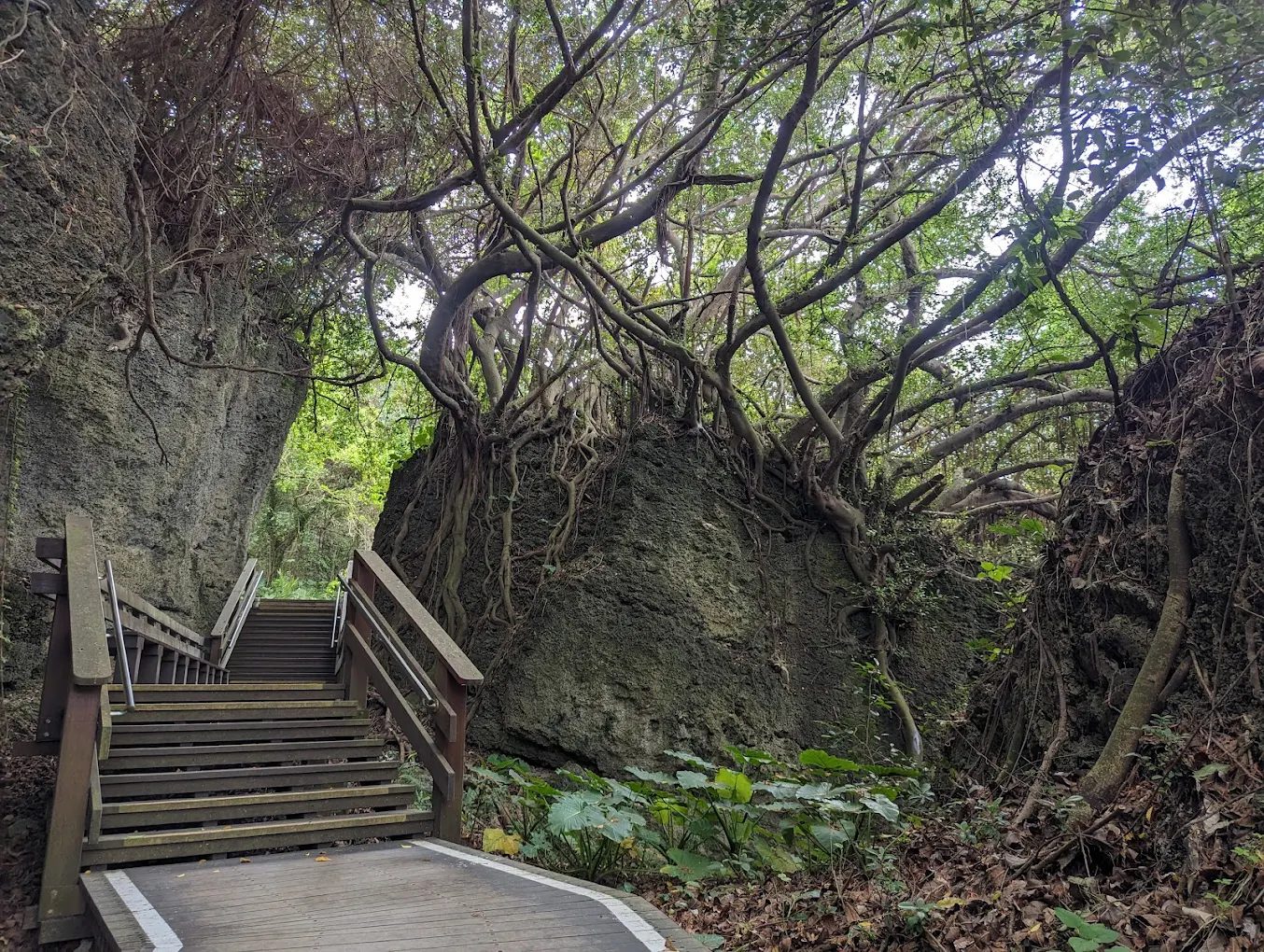 🌊小琉球自由行全攻略：必玩景點＋美食住宿推薦，海島假期就這樣玩！