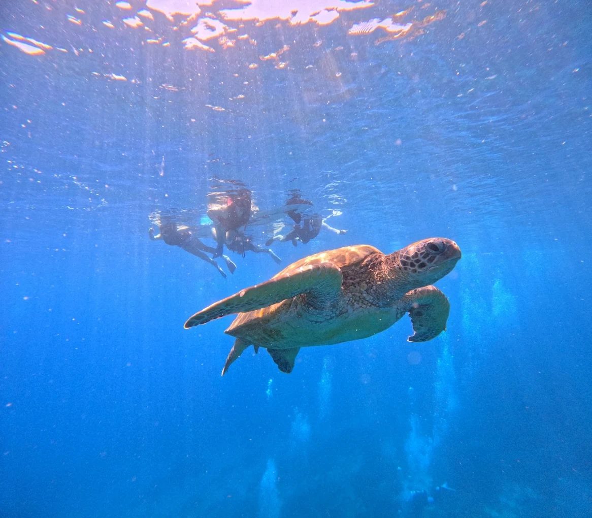 🌊小琉球自由行全攻略：必玩景點＋美食住宿推薦，海島假期就這樣玩！