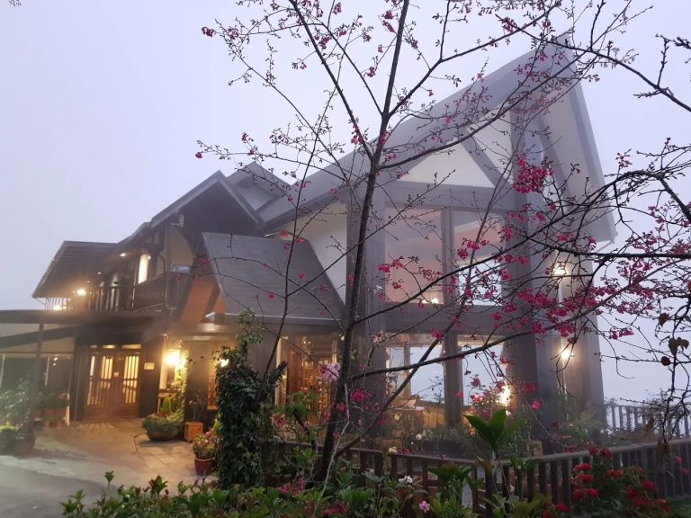 清境住宿推薦：探索最佳民宿選擇，享受山中星空與雲海