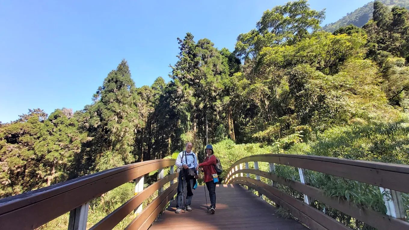 溪頭森林遊樂區：探索台灣最美的山林秘境