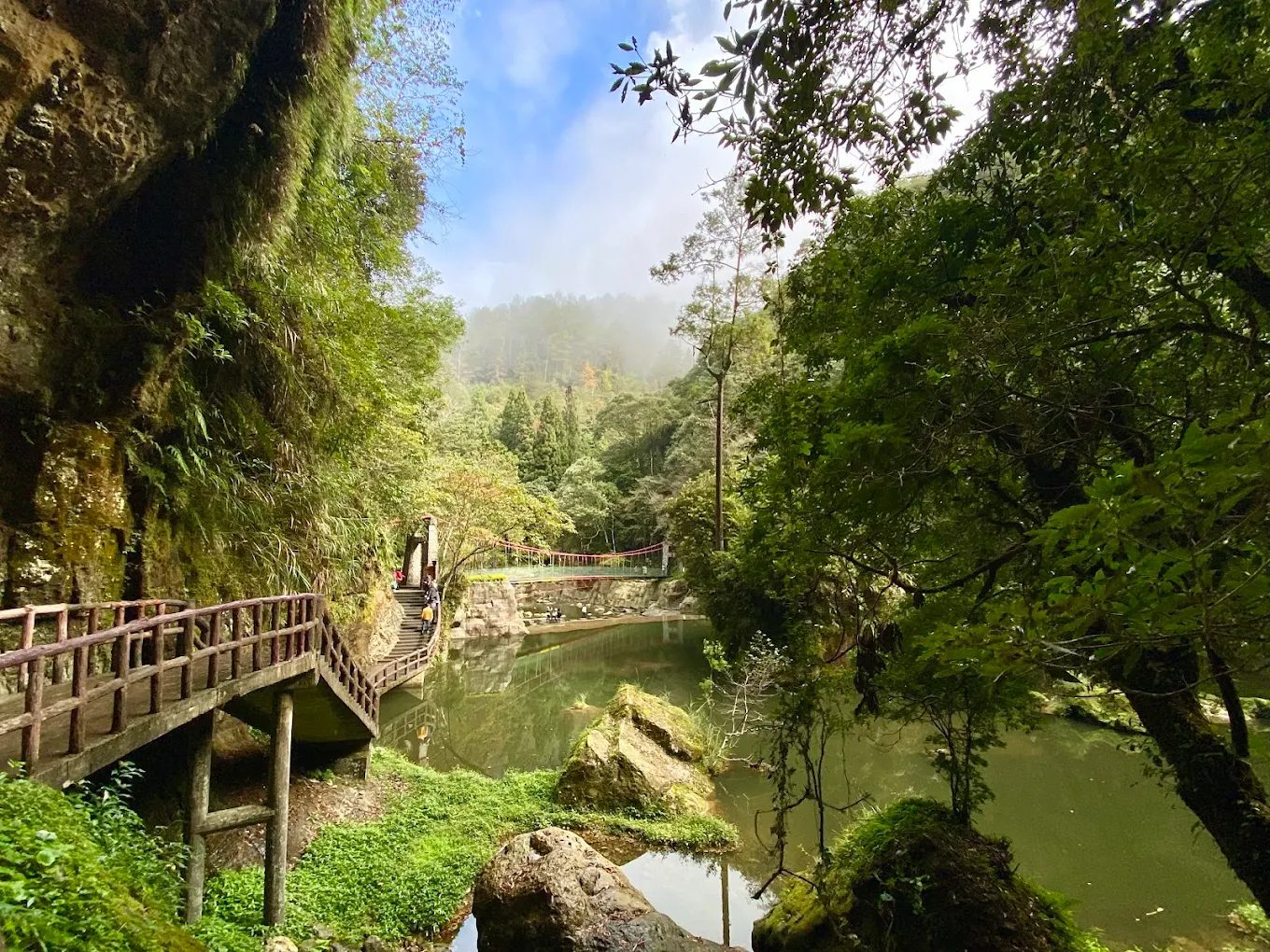 杉林溪的生態之旅：感受大自然的魅力與樂趣
