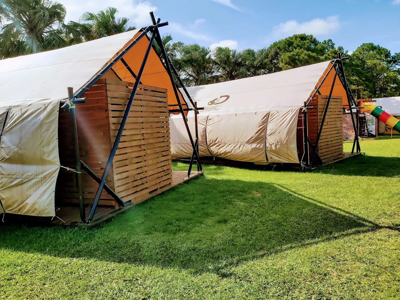 埔心牧場親子遊玩指南：5個讓你不容錯過的互動體驗