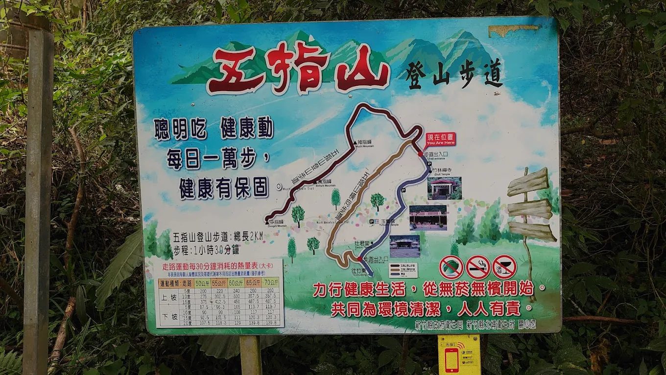 風雅月筑．淇邑｜新竹五峰山林秘境，豪華住宿 × 森林健行 × 親子活動全攻略
