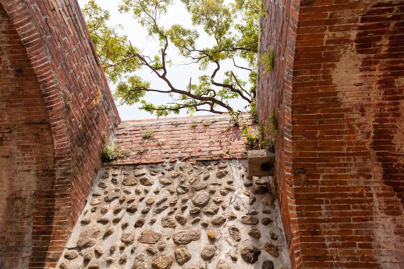 發掘屏東景點：探索屏東縣公園和歷史文化